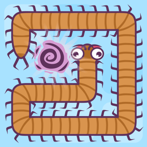 Snake Solver 